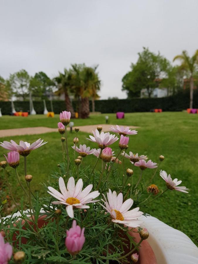 I Giardini Del Novecento Hotel Ламеция Терме Екстериор снимка